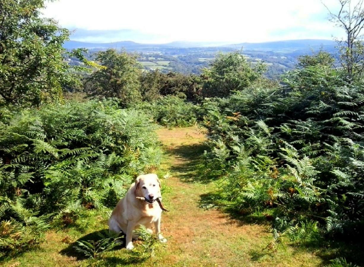 Heathergate Cottage Dartmoor Bnb Lydford Esterno foto