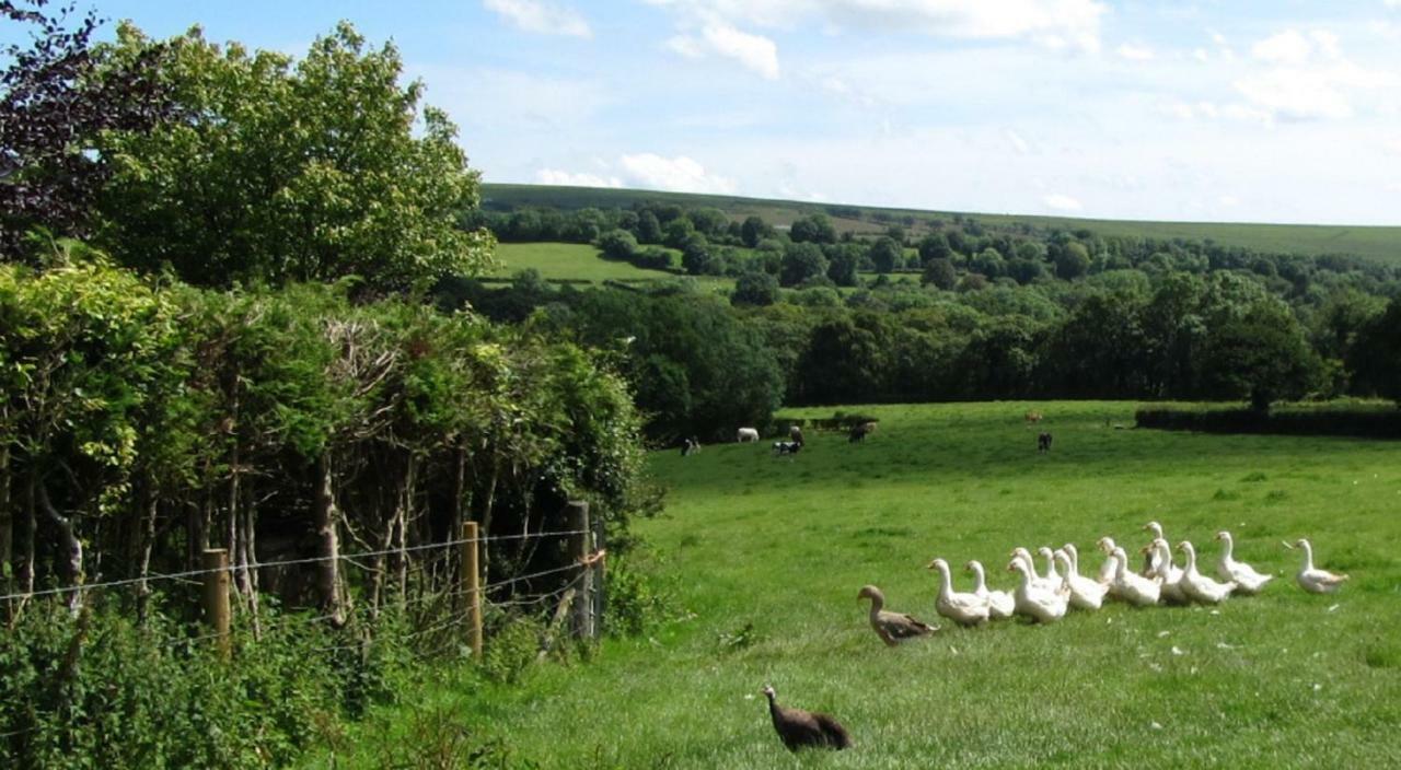 Heathergate Cottage Dartmoor Bnb Lydford Esterno foto